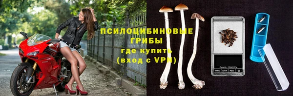 стафф Алексеевка