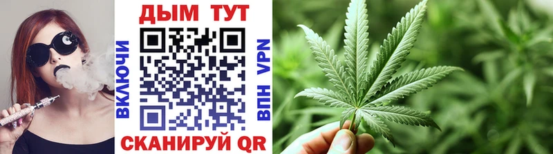 купить наркоту  Островной  Шишки марихуана конопля 